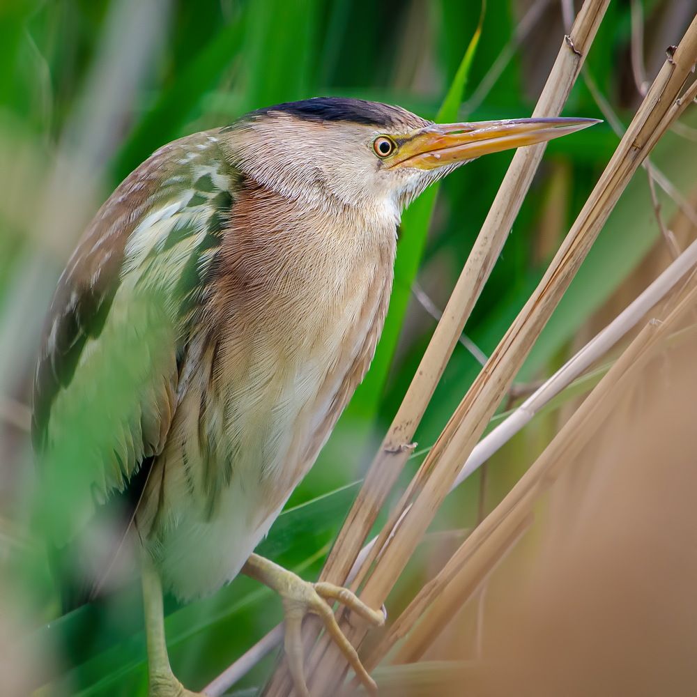 Photograph by Оксана Маховская