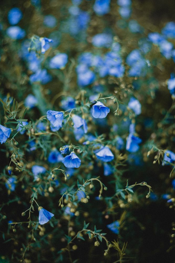 Photograph by Корчагина Оксана