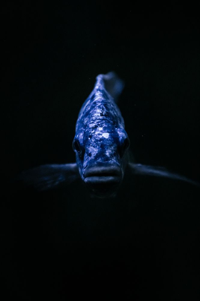 Photograph by Корчагина Оксана