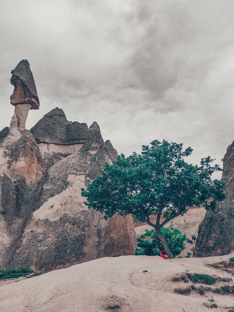 Photograph by Денис Нарышев