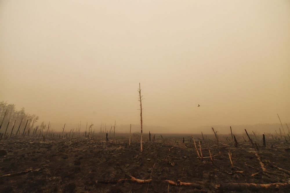 Photograph by Иван Макеев