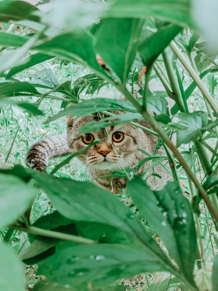 Photograph by Денис Нарышев