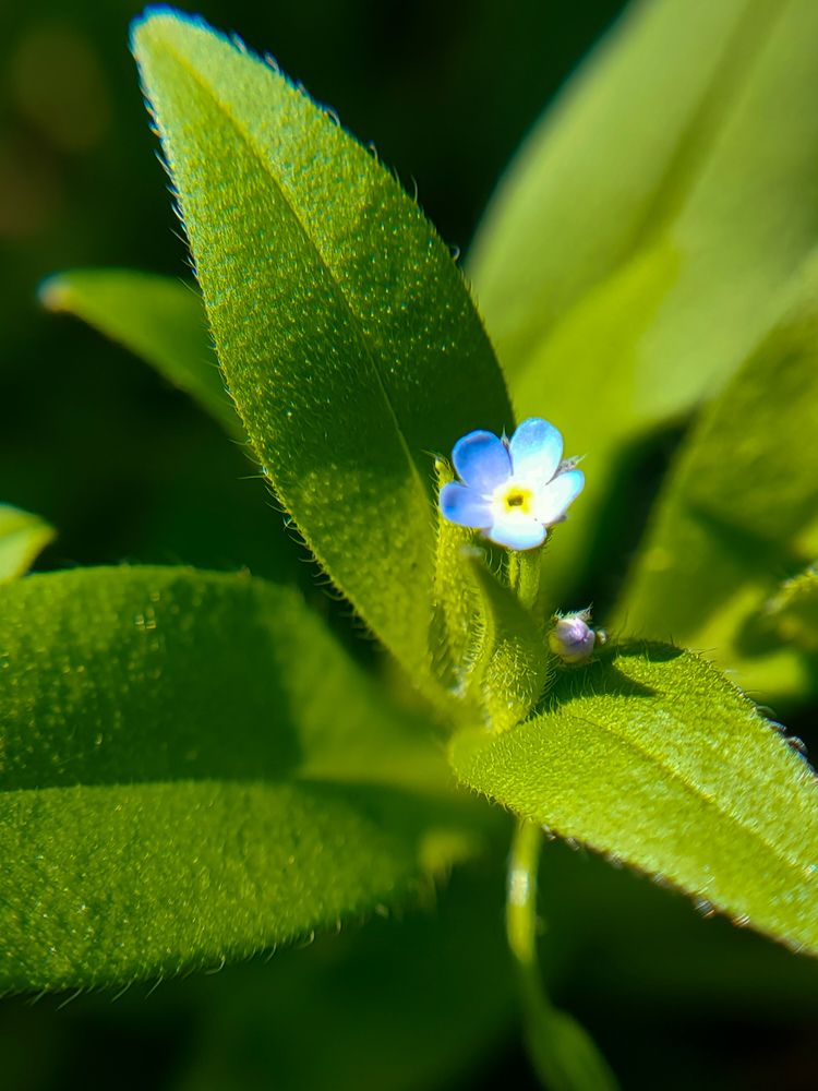 Photograph by Денис Нарышев