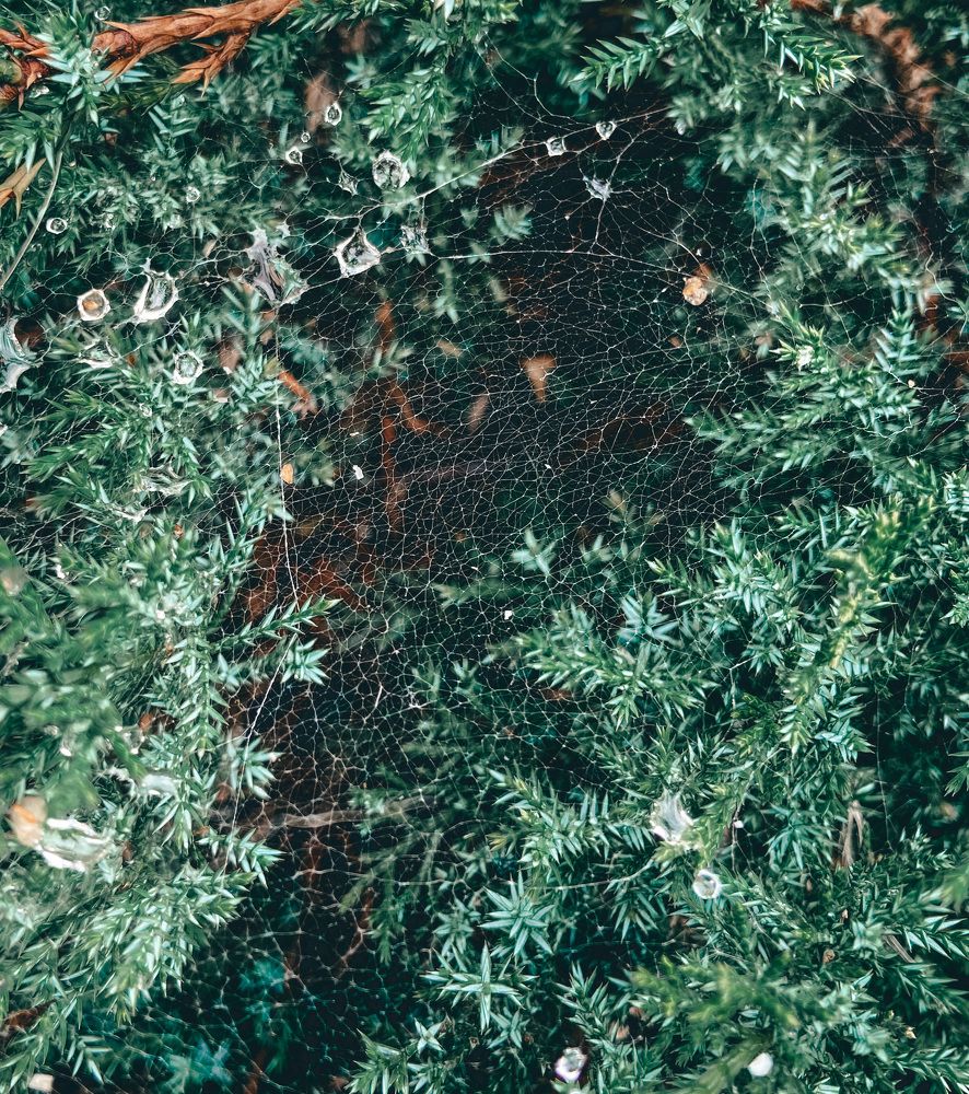 Photograph by Катерина