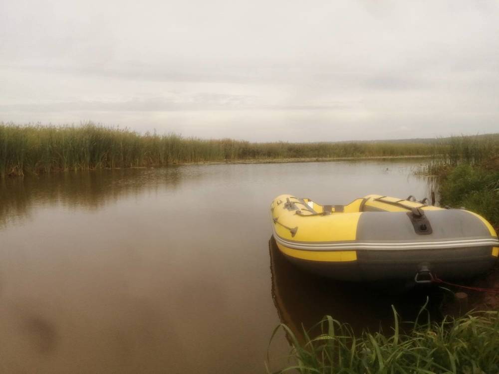 Окружение Камы