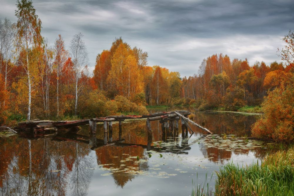 Photograph by Шевченко Николай