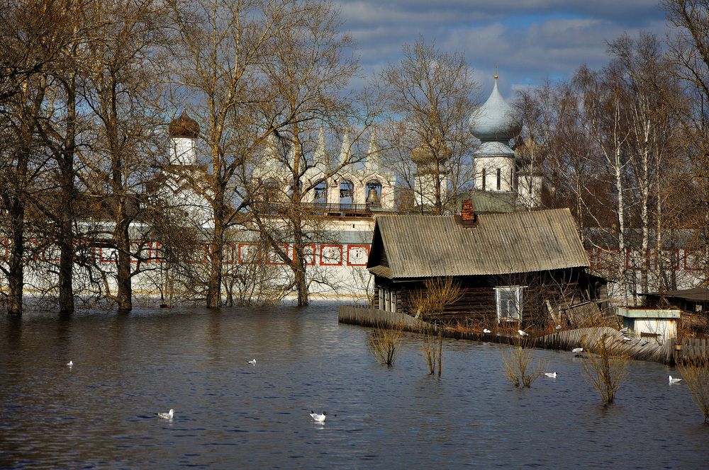 Photograph by Игорь Овсиенко