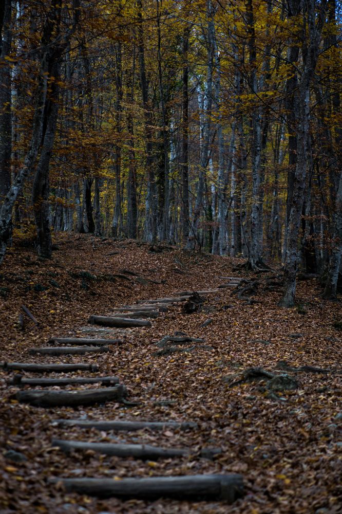 Photograph by Анна Изюмская