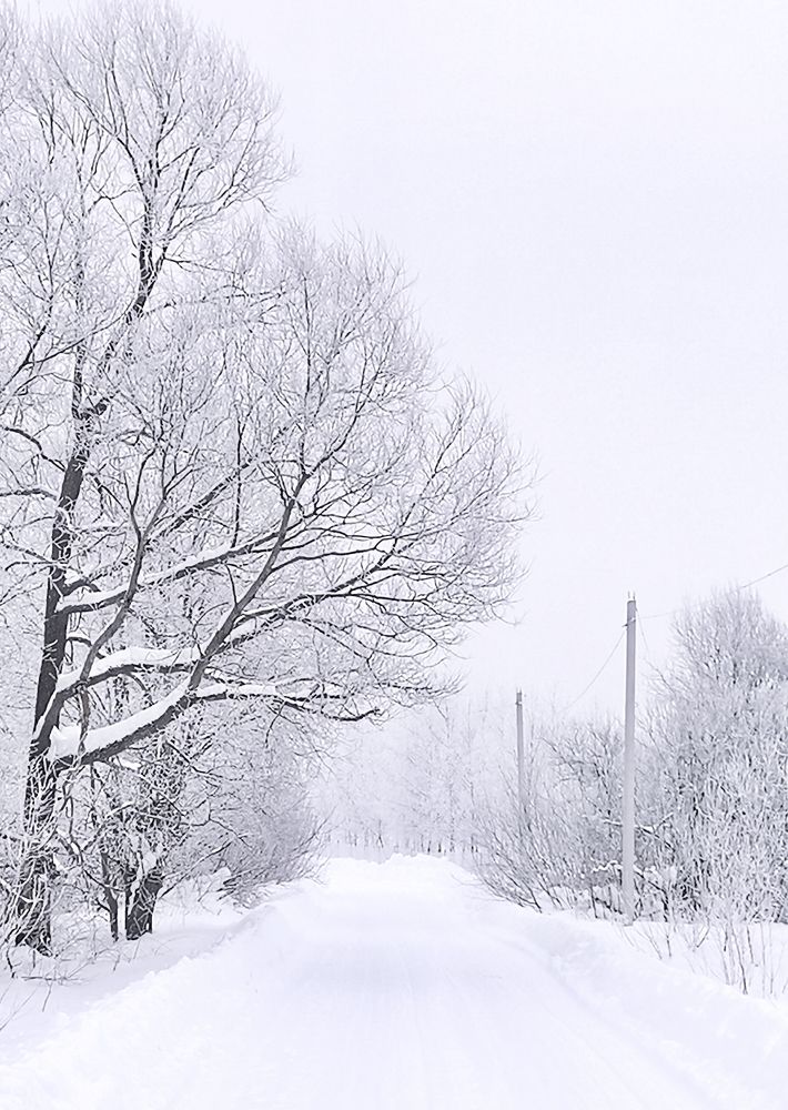 Photograph by Ирина Садовникова