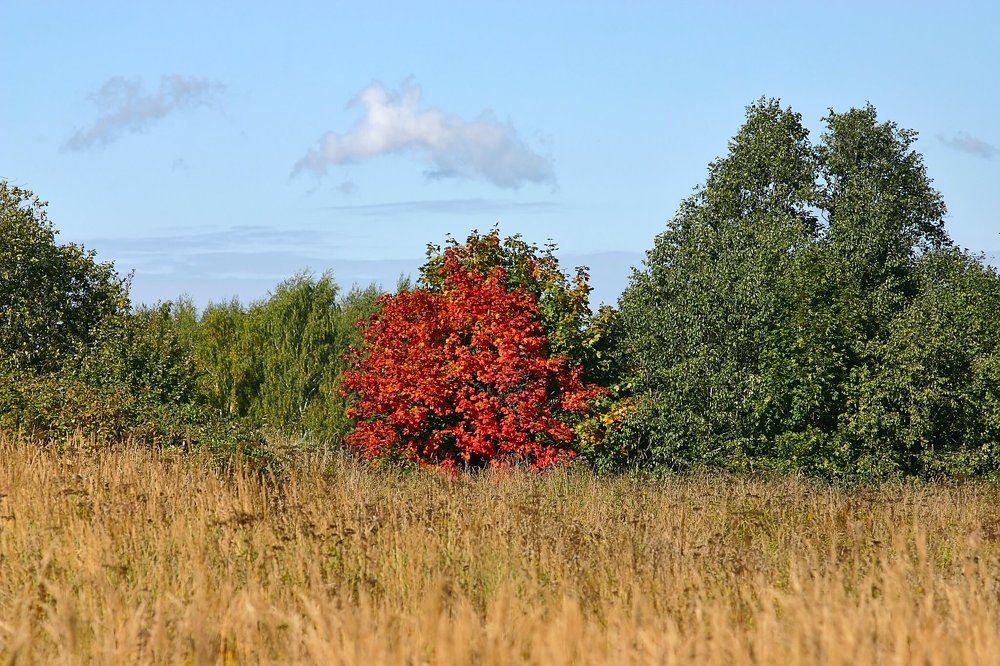 Photograph by Евгений Беленков
