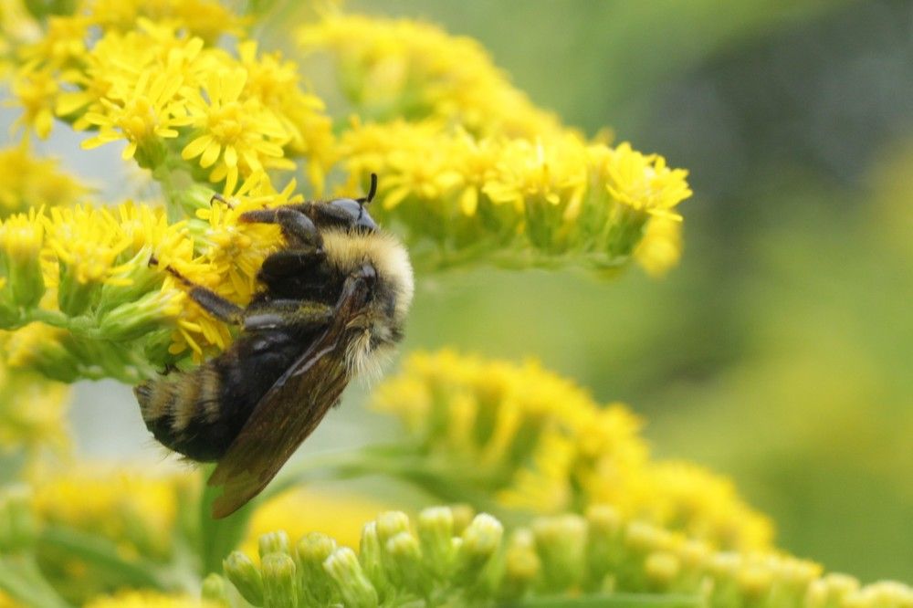 Photograph by Светлана Соколова