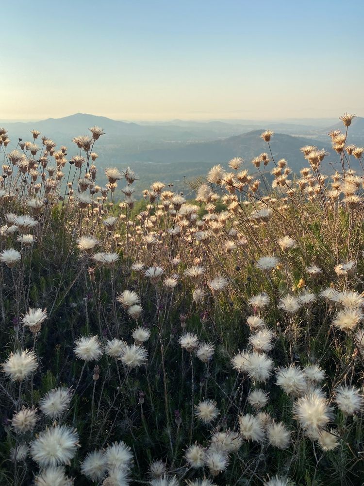 Photograph by Antonova Marina