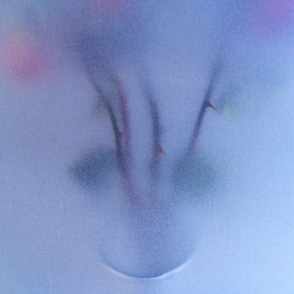 Photograph by Antonova Marina