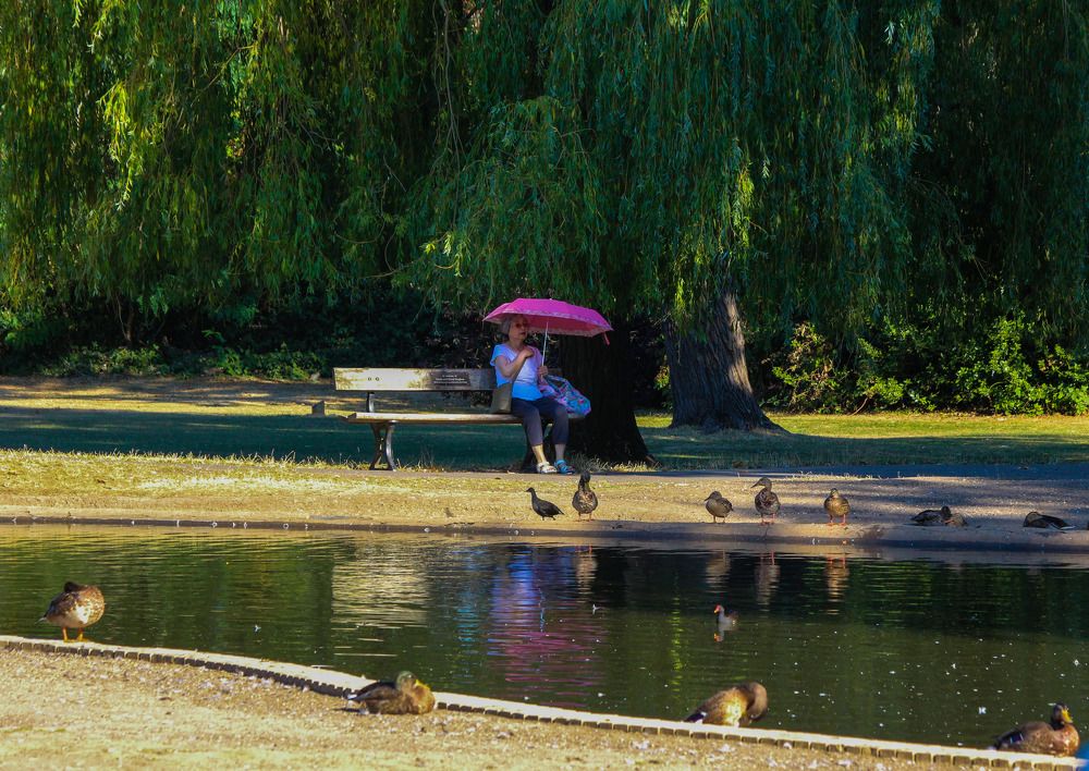 Photograph by Manish (Valmie) Joshi