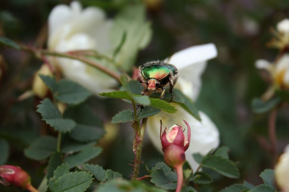 Photograph by Алиса Окулова