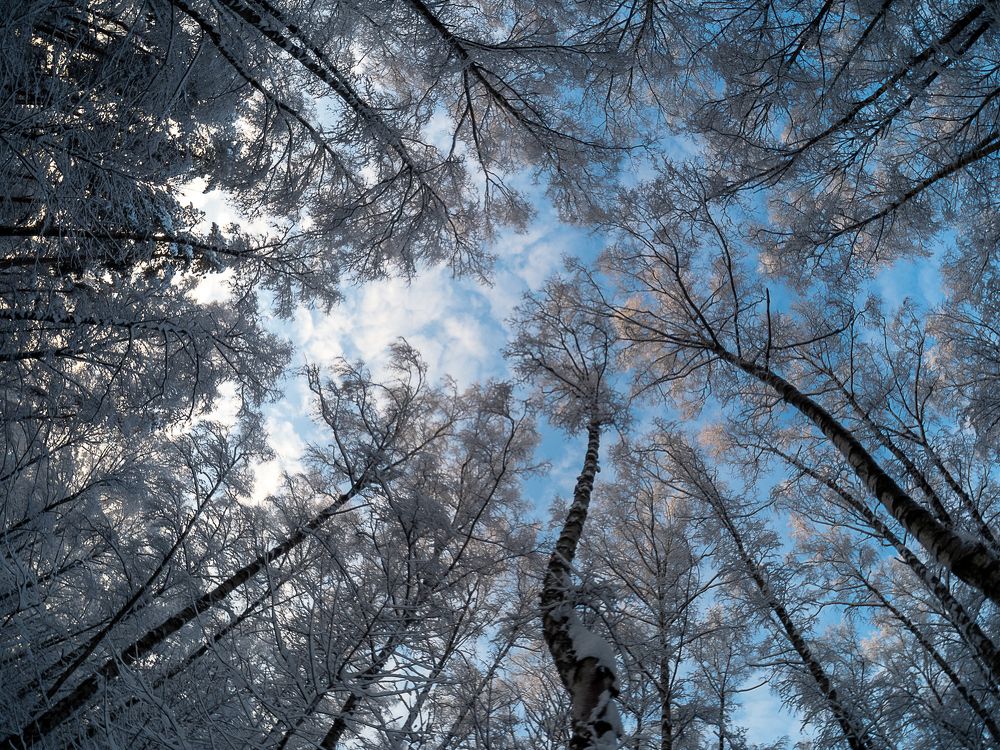 Фотография автора Valery Bychkov