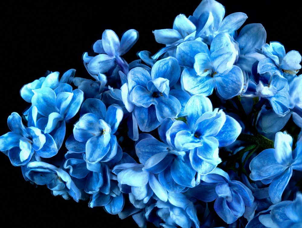 Photograph by Aleksandr Belov