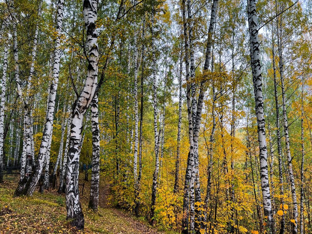 Photograph by Alice Vikernes