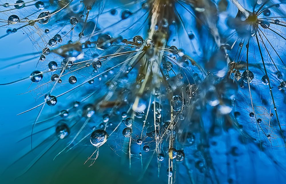 Фотография автора Билан Виктория