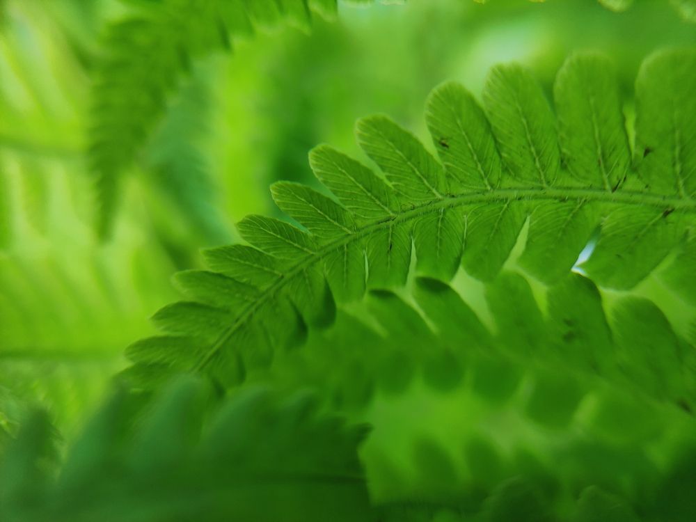 Photograph by Max_niksh