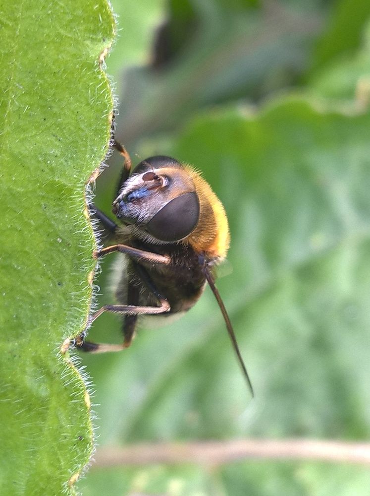 Photograph by Олеся Купча