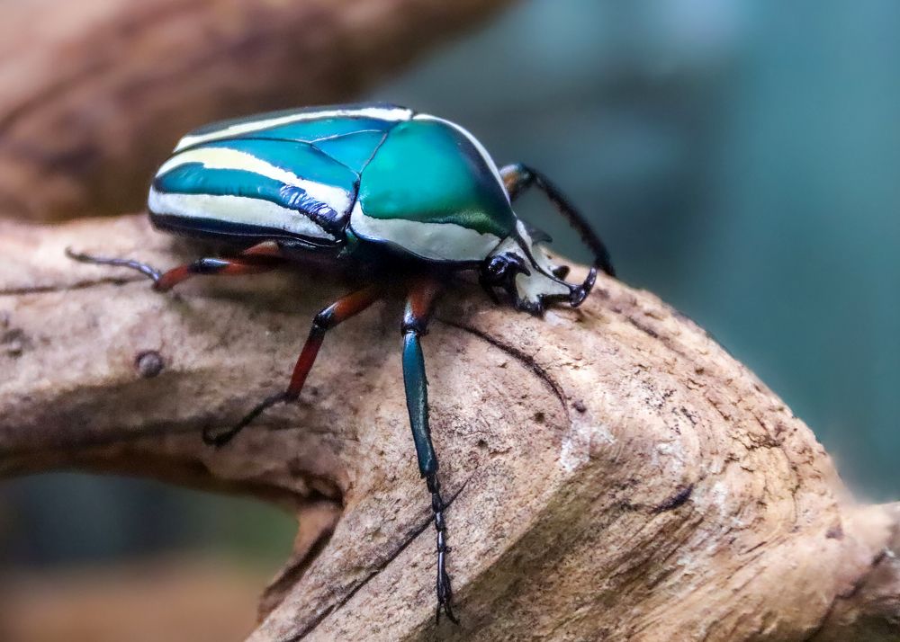 Photograph by Лариса Рулёва