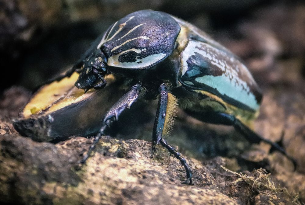 Photograph by Лариса Рулёва