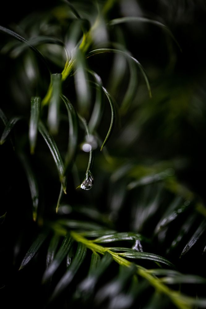 Photograph by Biryukova Anastasia