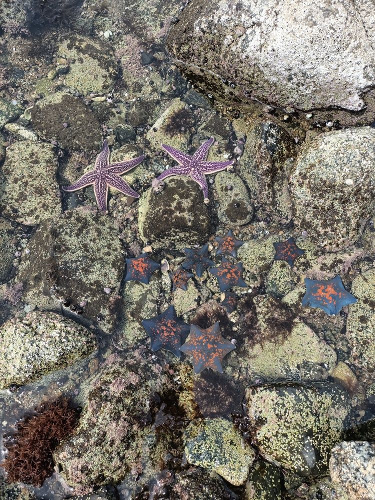 Фотография автора Екатерина Ковтун