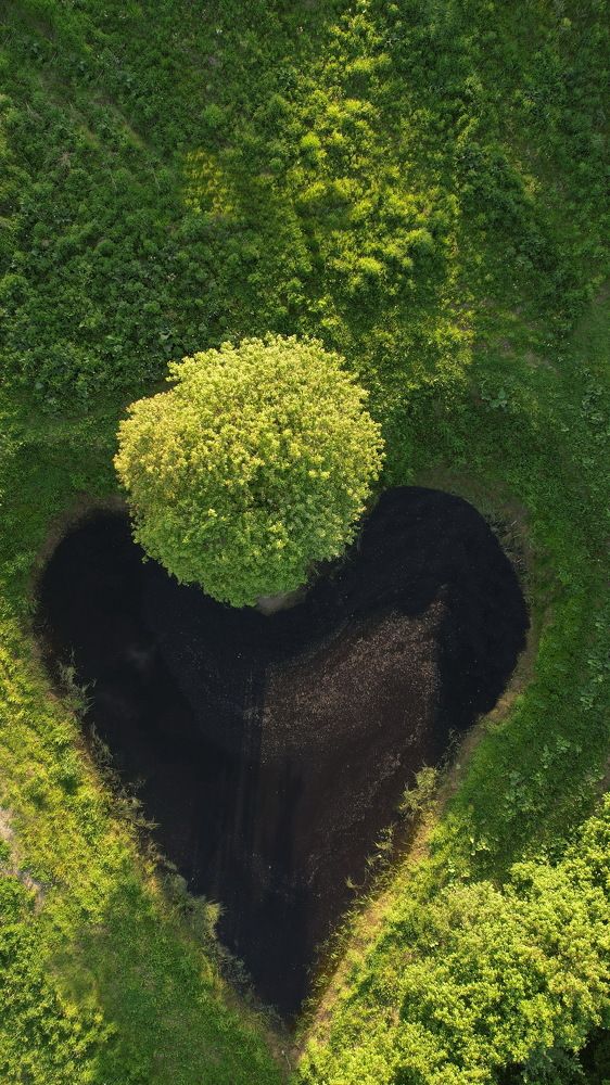 Озеро сердце Киржач