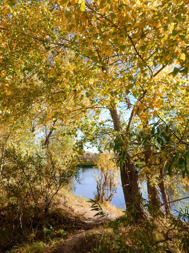 Photograph by Ирина Алпацкая