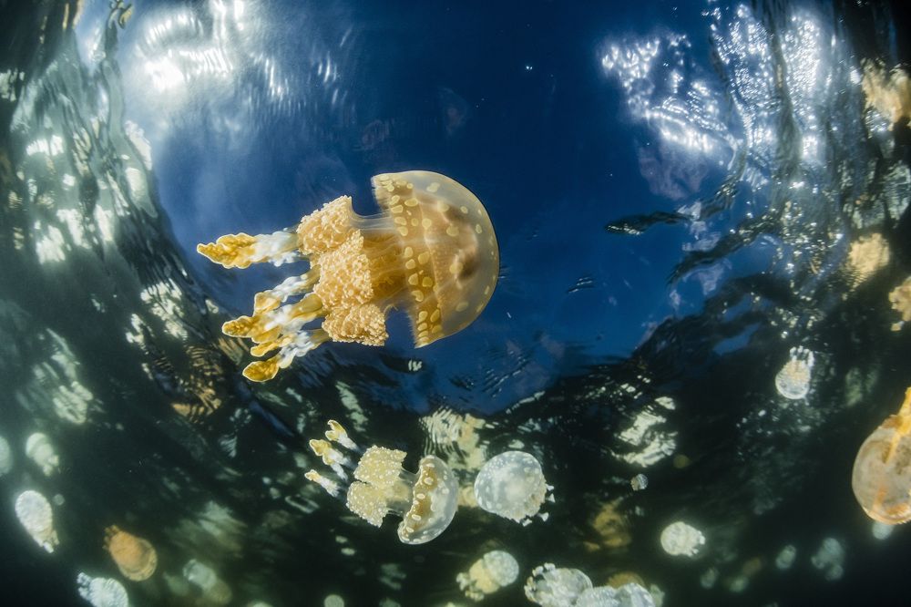 Photograph by KURASHIMA DAISUKE