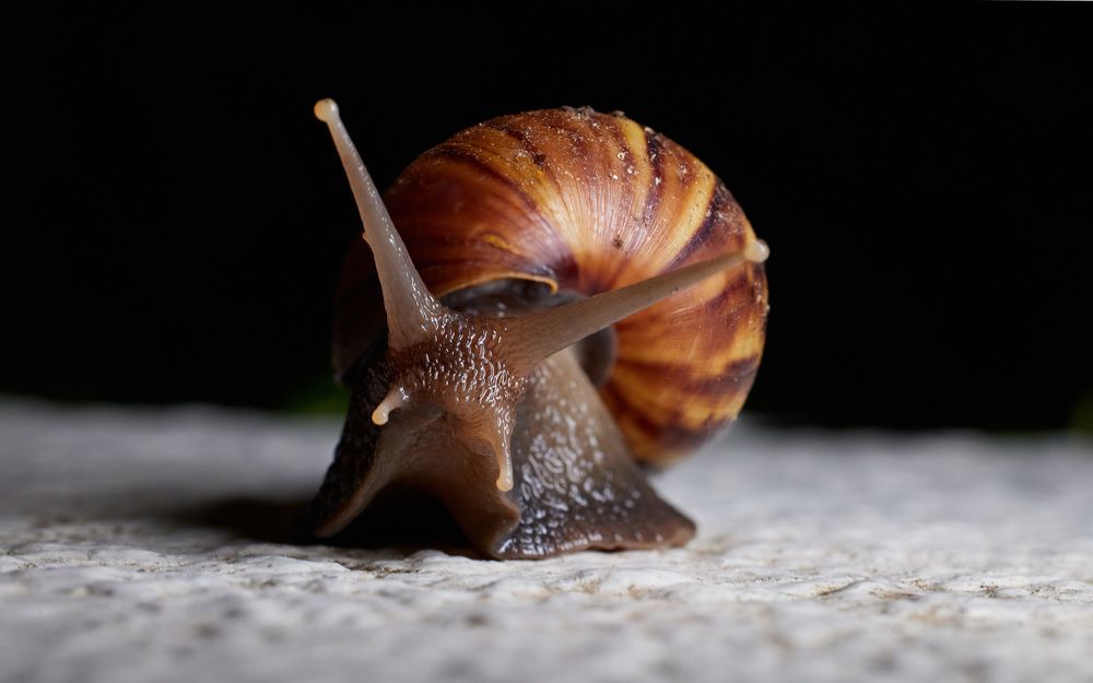 Photograph by Ilia Rozhnov