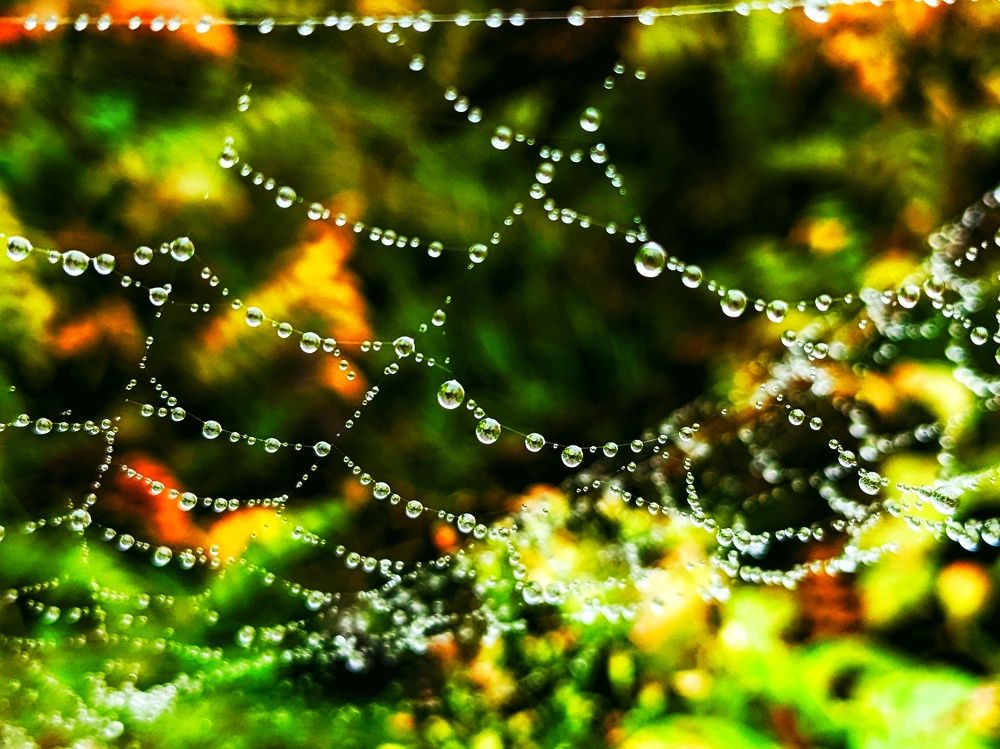 Photograph by Lavlad L