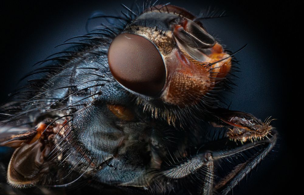 Фотография автора Renat Mansurov