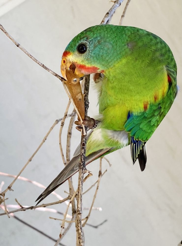 Photograph by Анастасия Тирская