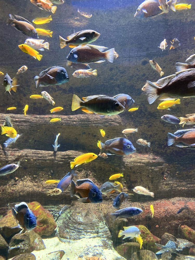 Photograph by Анастасия Тирская