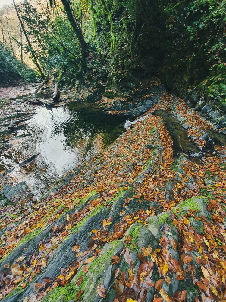 Photograph by Наталья Молоткова