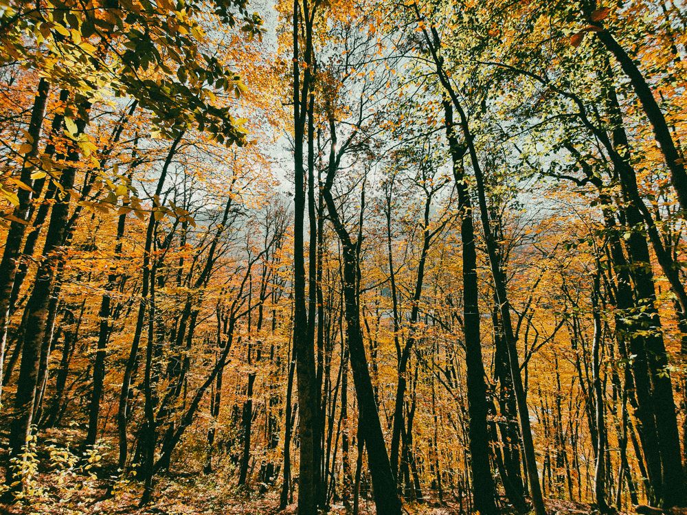 Photograph by Наталья Молоткова