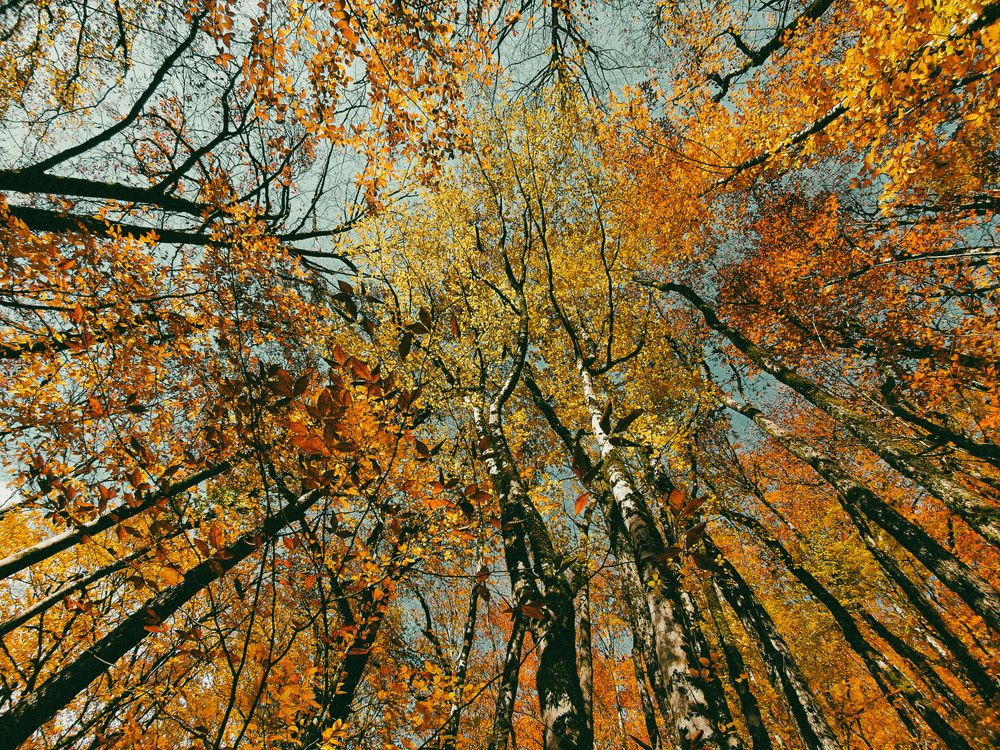 Photograph by Наталья Молоткова