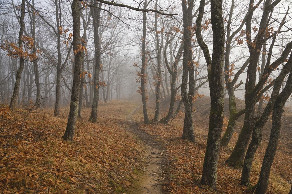 Photograph by Марина Гнедаш