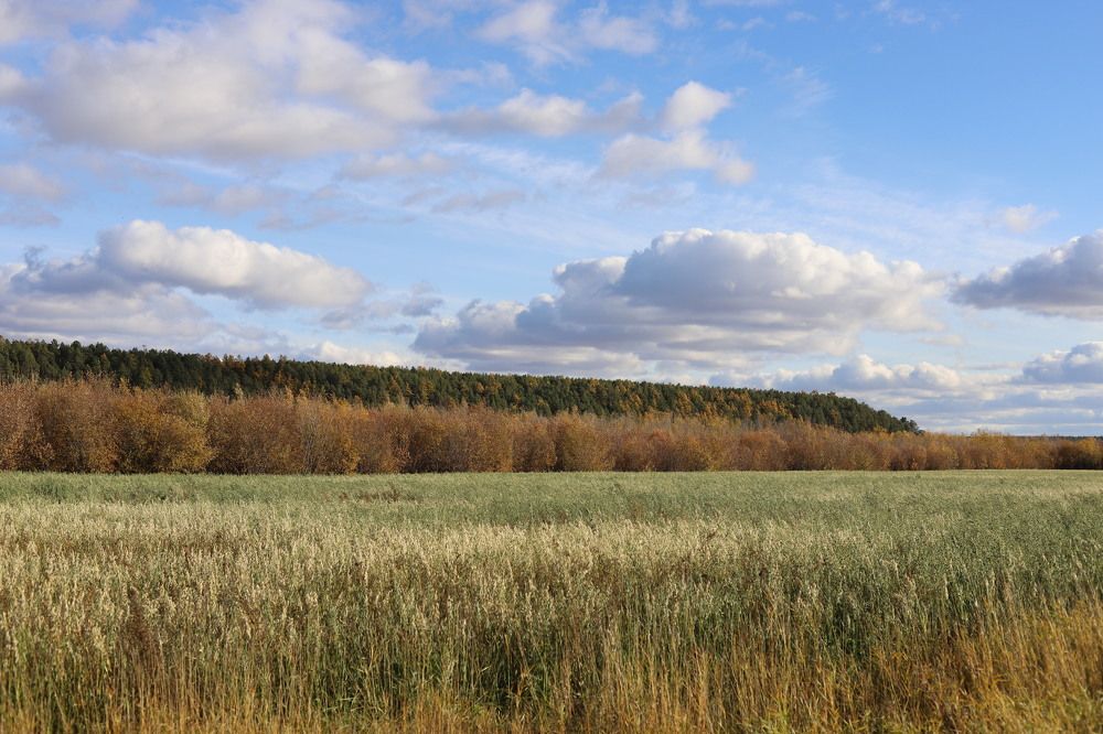 Photograph by Марина Ноговицына