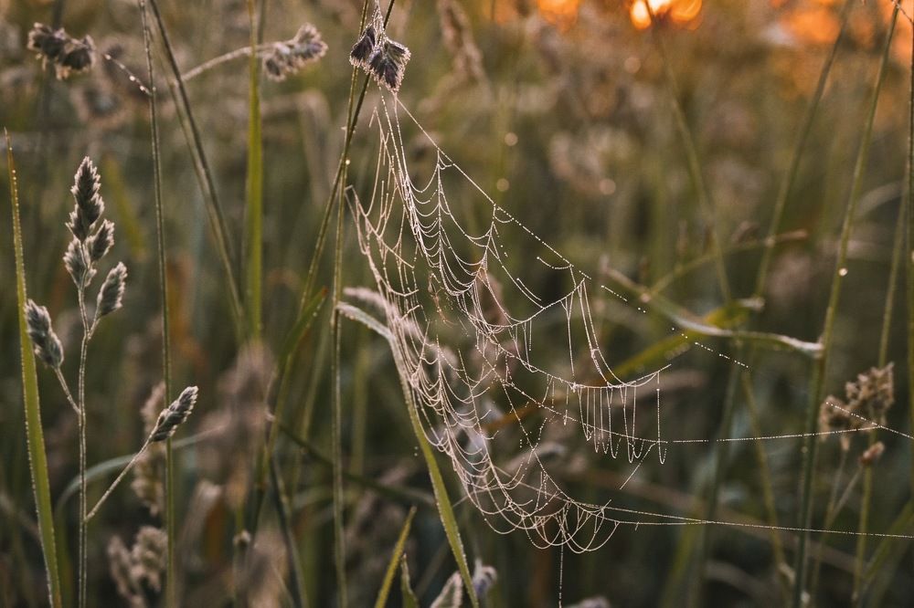 Photograph by Анна Якименко