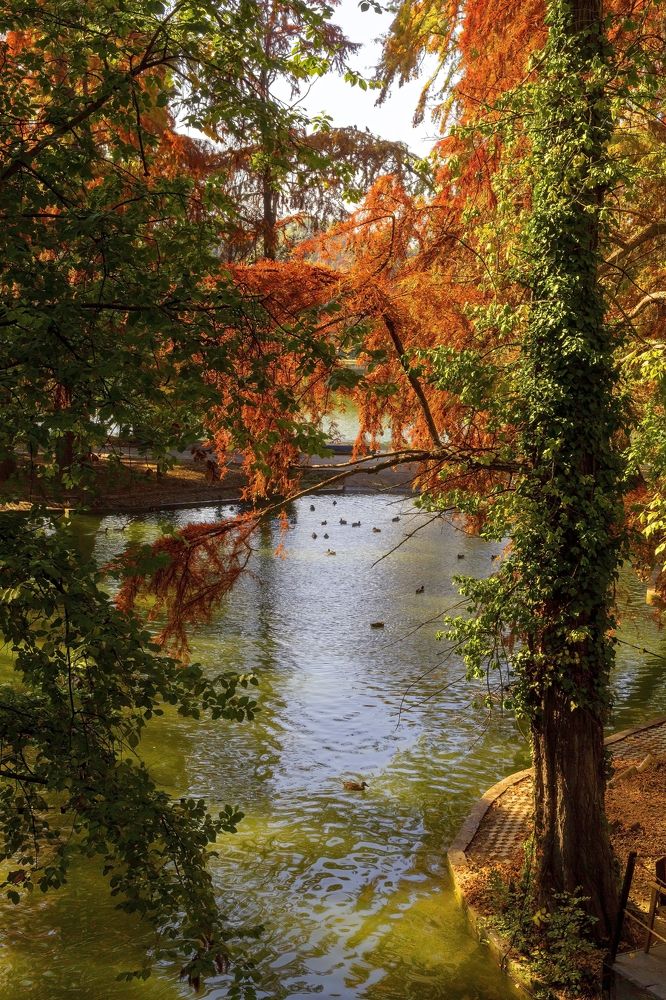 Photograph by Silviu Cojanu