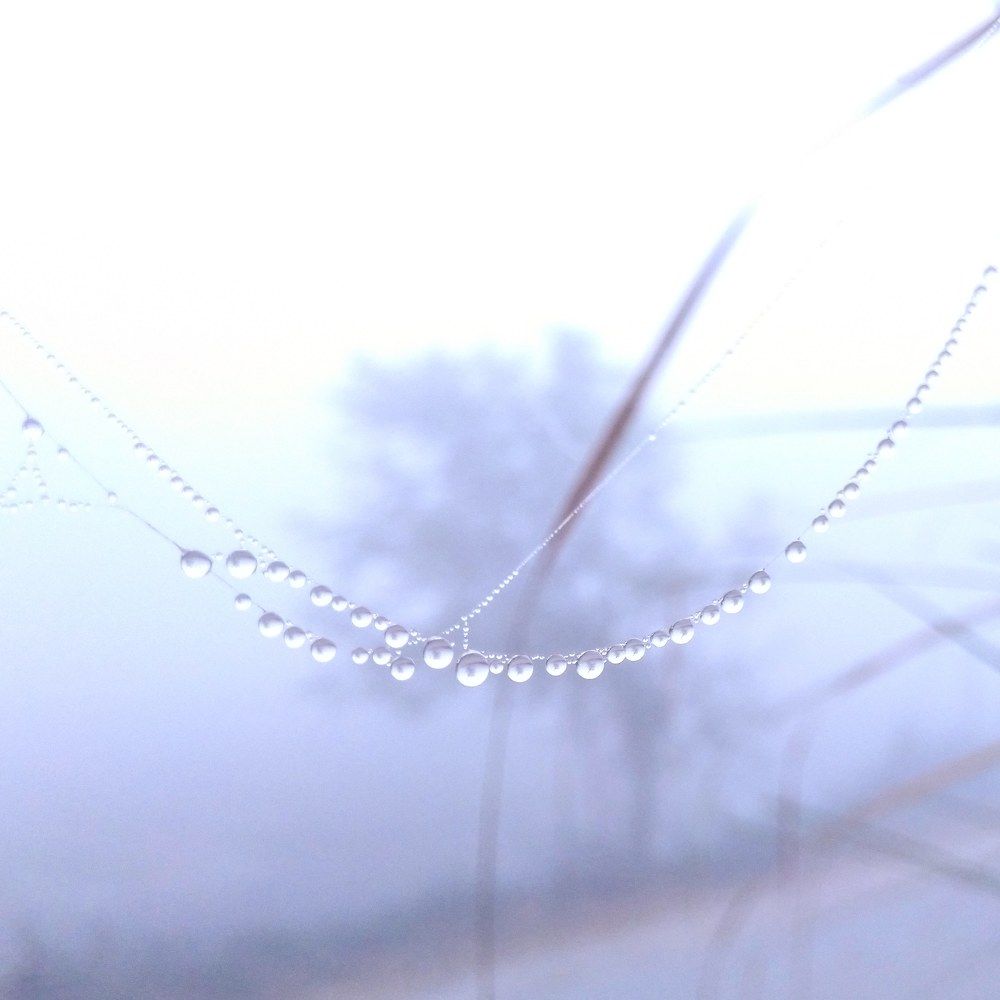 Nature Pearls