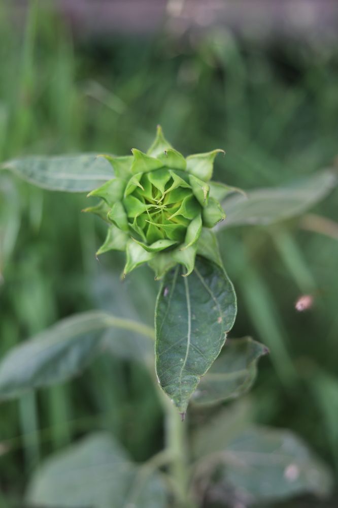 Photograph by Марина Ноговицына