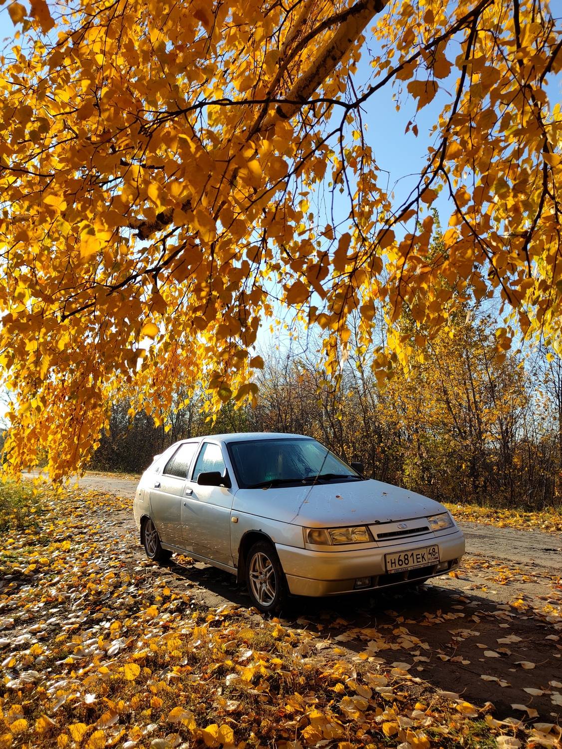 Photo #8065638
