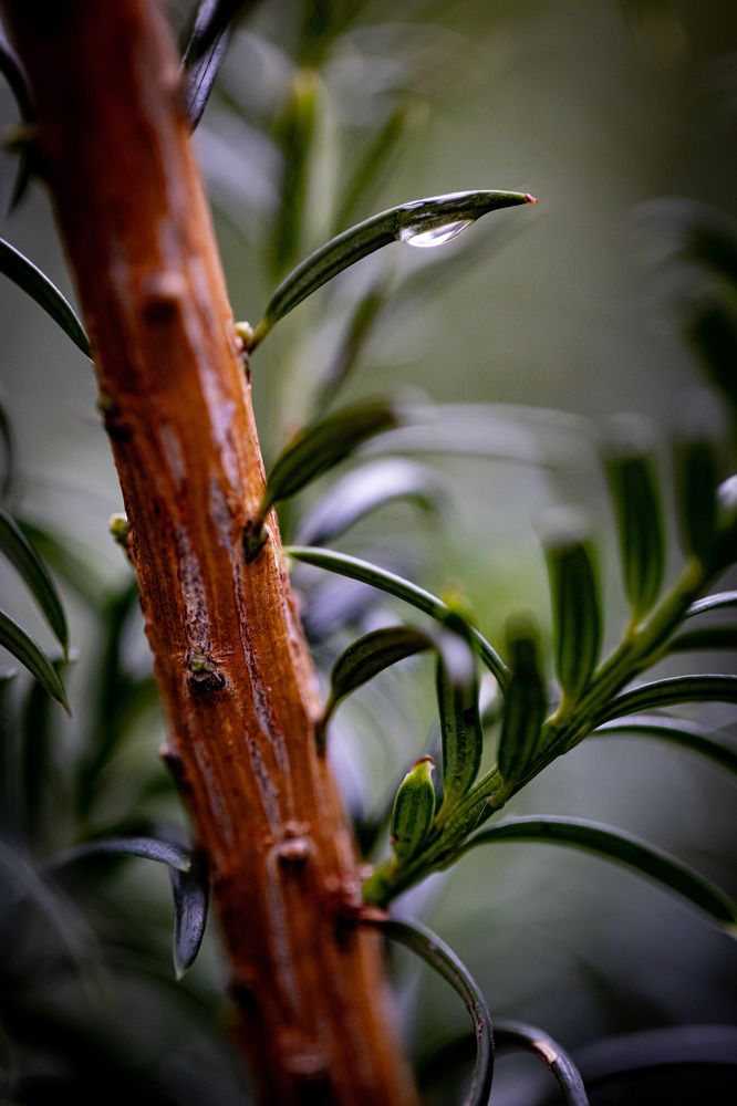 Photograph by Biryukova Anastasia