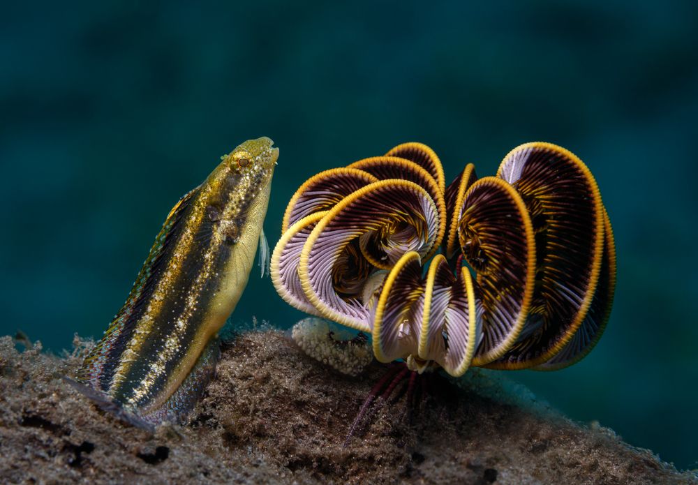 Photograph by Савин Андрей