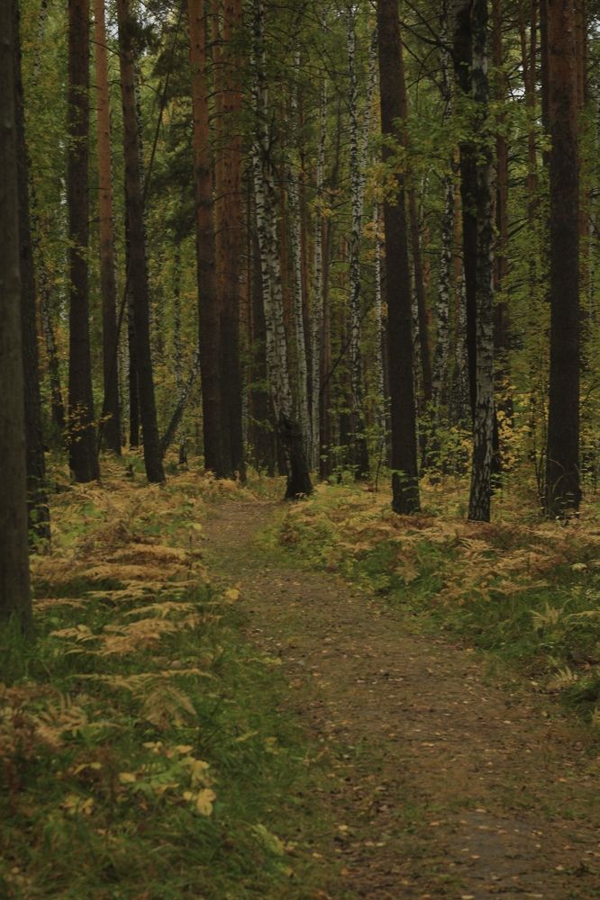 Photograph by Елена Змейкова